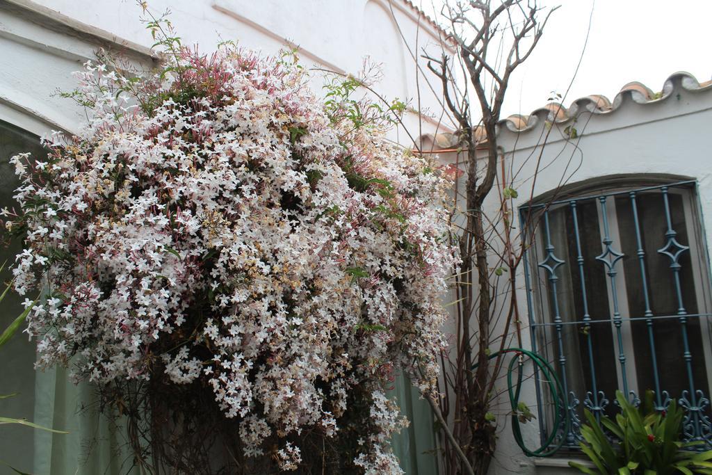 La Línea de la Concepción Casa Colonia 빌라 외부 사진